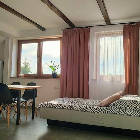 Apartamenty U Anety 维尔卡瑟 外观 照片